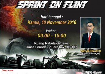 SPRINT ON FLINT