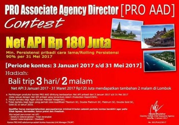 PRO ASSOCIATE AGENCY DIRECTOR [PRO AAD]